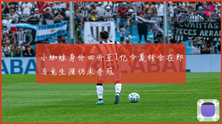 小蜘蛛身价回升至1亿今夏转会在即马竞生涯仍未夺冠